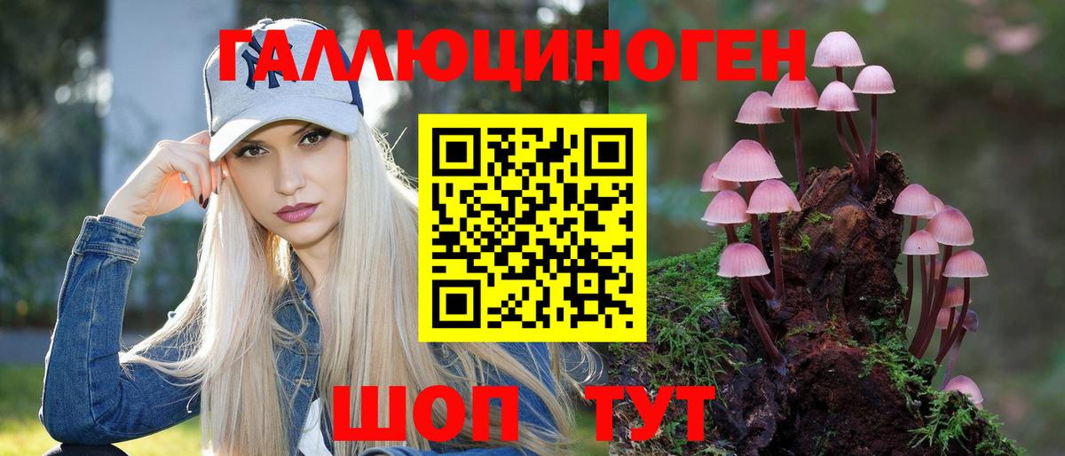 Кириши  Псилоцибиновые грибы Cubensis  даркнет сайт  Вход с VPN  Галлюциногенные грибы прущие грибы 